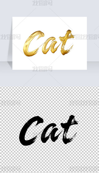 CatëP֌̽ˇg
