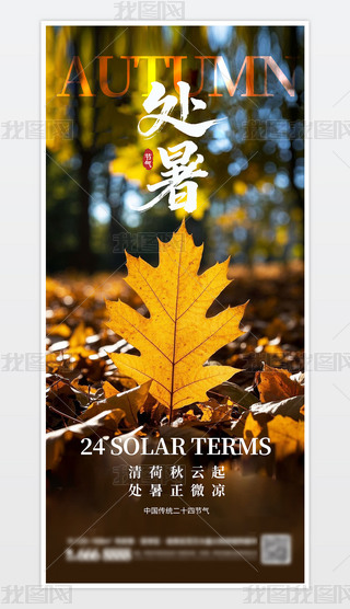 Ї(gu)y(tng)ʮĹ(ji)̎(bo)