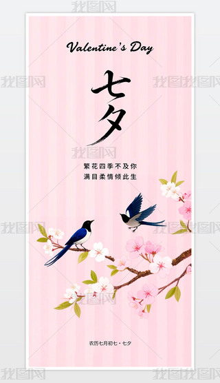 ɫΨϦ(bo)˹(ji)(bo)ģ