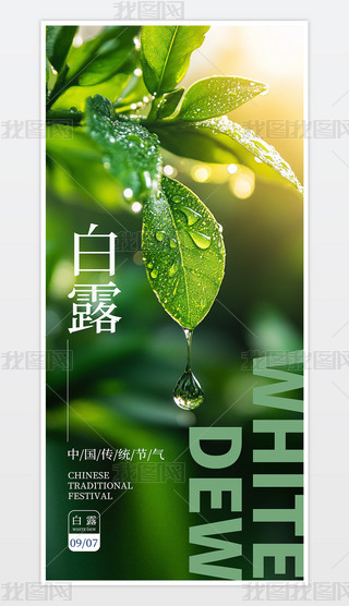 r(sh)а¶֙C(j)(bo).psd