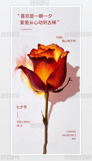 Ϧ(bo)Ϧ˹(ji)(bo)520(bo)