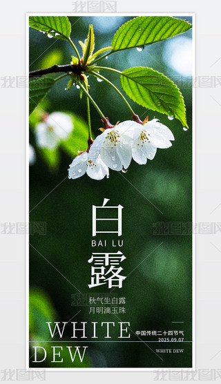 ֲ¶Gɫ֙C(j)(bo).psd