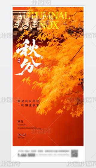 Їy(tng)ʮĹ(ji)ֺ(bo)