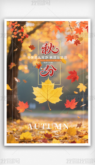 Їy(tng)ʮĹ(ji)ֺ(bo)5