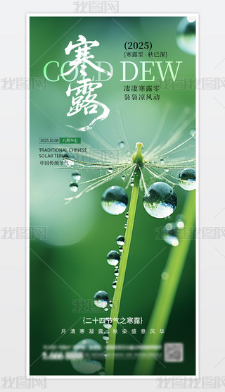 Їy(tng)ʮĹ(ji)⺮¶