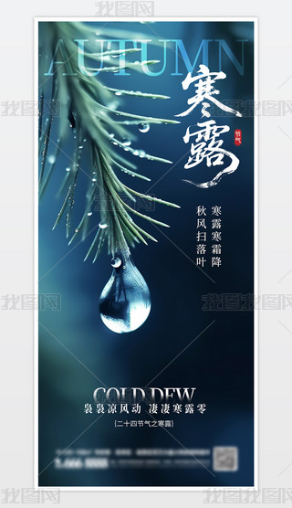 Їy(tng)ʮĹ(ji)⺮¶