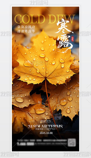 Їy(tng)ʮĹ(ji)⺮¶