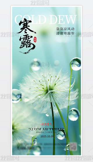 Їy(tng)ʮĹ(ji)⺮¶