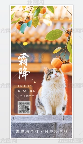 Їy(tng)(ji)նʮĹ(ji)֮˪ģ