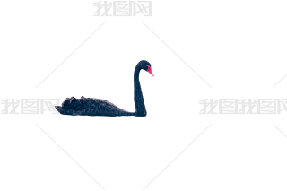 ʸDƯ