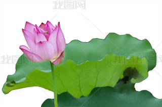 ɻ~