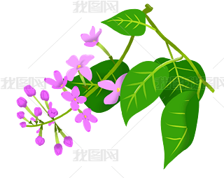 㻨ϻr