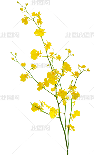 ˇСºʮr҃(ni)m