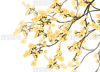 ɫD÷÷