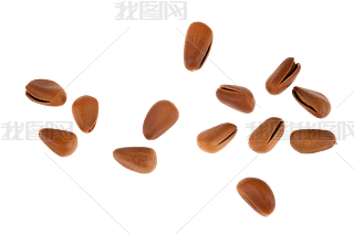 Թʳ
