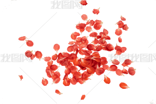 t÷D÷÷
