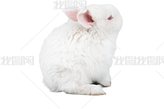 ɐ۰ɫС
