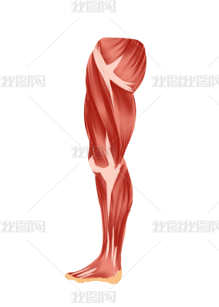 wȲ