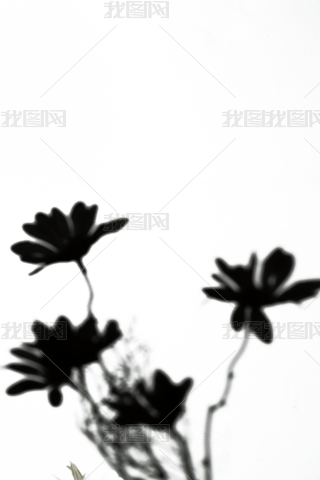 ɻͶӰ
