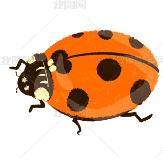 ưxxxxˮʿͨpng