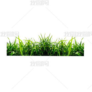 ƺݵز݅СݾGɫ