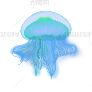 (mng)ßɹˮĸ