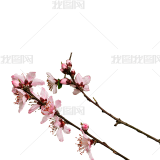 ֦_Ҙ֦^҈@_