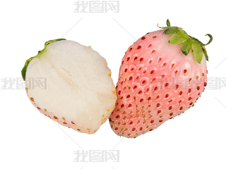 ɫݮ