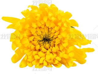 ջr