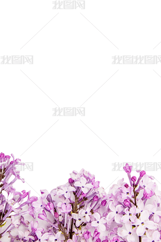 ֲﻨ䶡㻨
