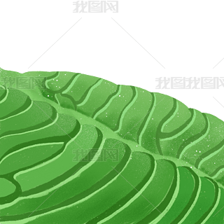 ֲﲥNո@