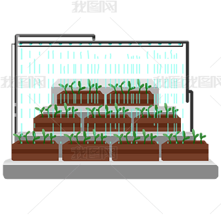 ҷNֲ