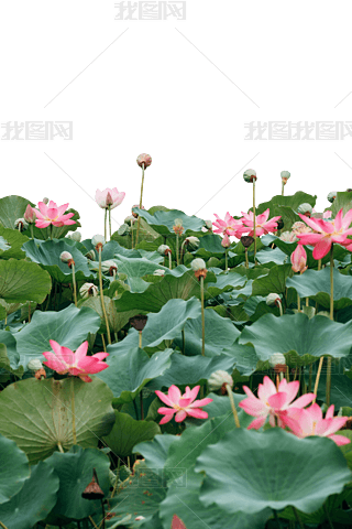 ɻ~ֲ