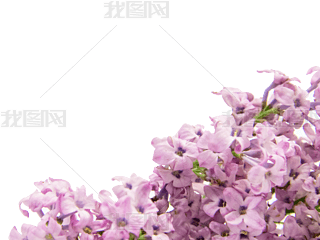 㻨