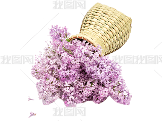 ϶㻨ɻ