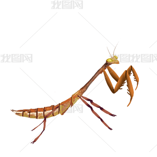 ļx