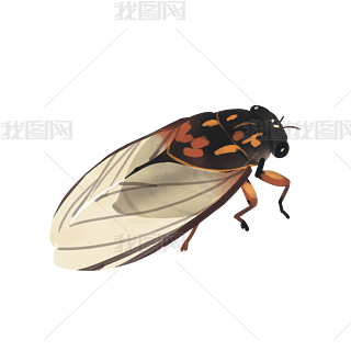 ļx֪