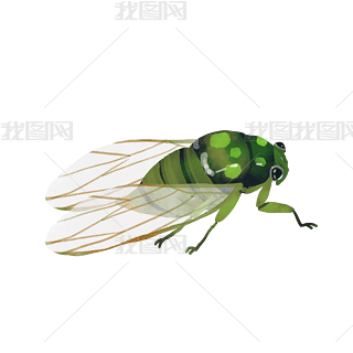 ļGɫ֪