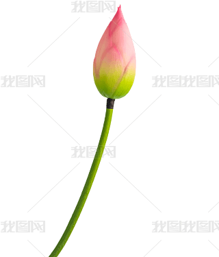 ɻ