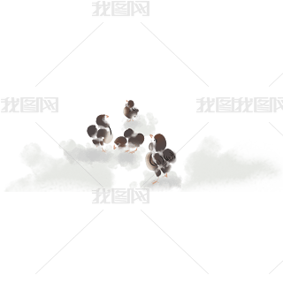 ˮСu