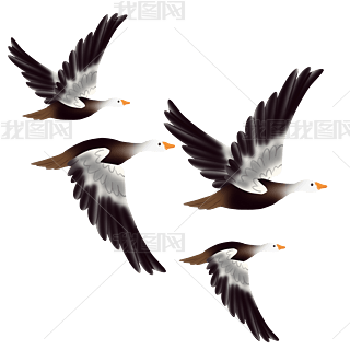 ˮBwB