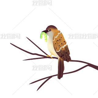 Bȸ