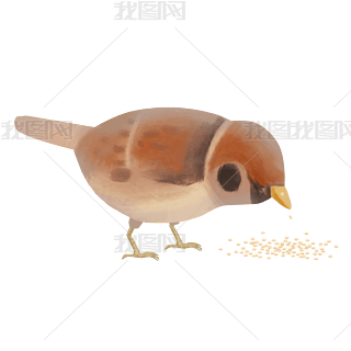 ȸҒʳBСB