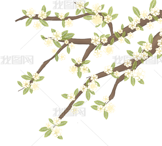 ֦𻨘