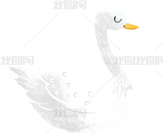 ¶Z