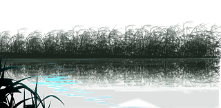 ¶JȔ