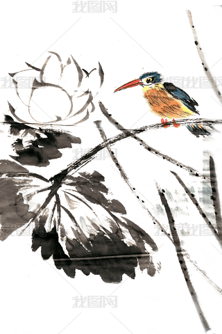 ɻcB