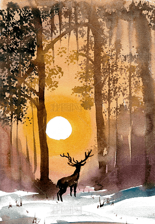 oɽˮī