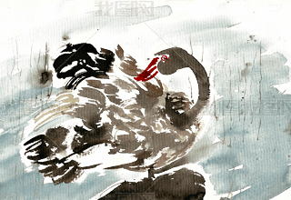 ĺZˮīB