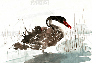 еĺZˮī